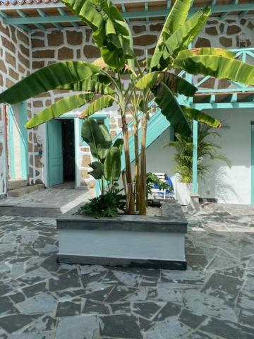 Hacienda De Las Indias, Cali Granadilla De Abona Bagian luar foto